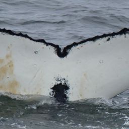 Fluke of HW-MN1300761