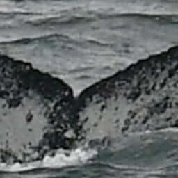 Fluke of HW-MN0804574