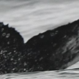 Fluke of HW-MN0804583
