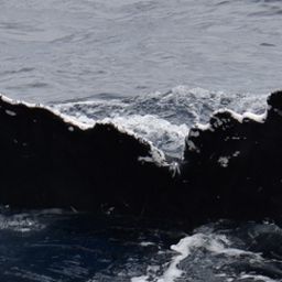 Fluke of HW-MN0444879