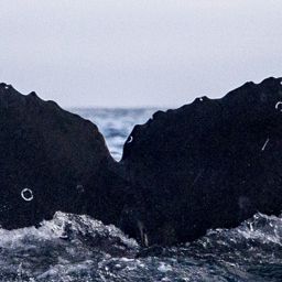 Fluke of CRC-16562