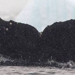 Fluke of HW-MN1306970