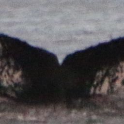 Fluke of HW-MN1307041