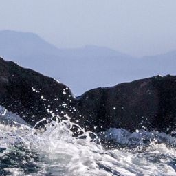 Fluke of CRC-16607