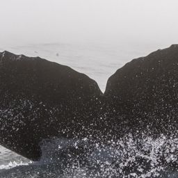 Fluke of CRC-18403