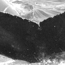 Fluke of Ula