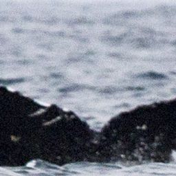 Fluke of CRC-16424