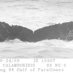 Fluke of CRC-10907