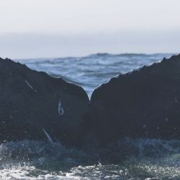 Fluke of CRC-22325