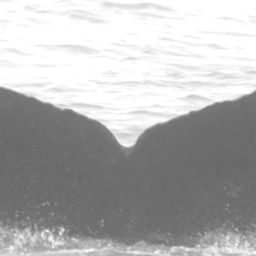 Fluke of CRC-15024
