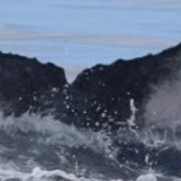 Fluke of HW-MN0444952