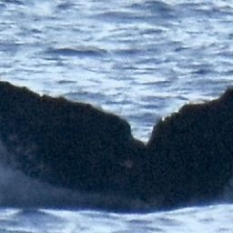 Fluke of HW-MN0444953