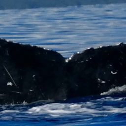 Fluke of HW-MN0444974
