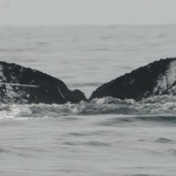 Fluke of CRC-12345