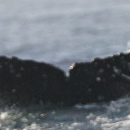 Fluke of HW-MN0524383