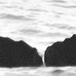 Fluke of CRC-15488