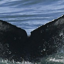 Fluke of HW-MN0805011