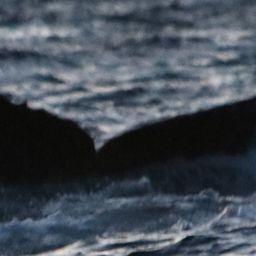 Fluke of HW-MN0200690