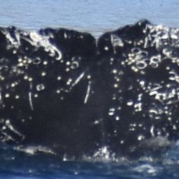 Fluke of HW-MN0524539