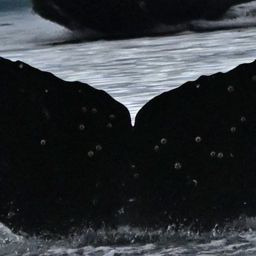 Fluke of HW-MN1307362