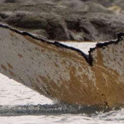 Fluke of HW-MN1307380