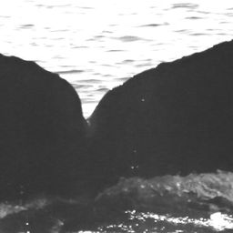 Fluke of CRC-15894