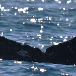 Fluke of HW-MN0524642
