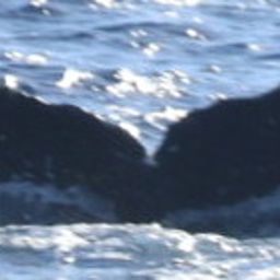Fluke of HW-MN0445251