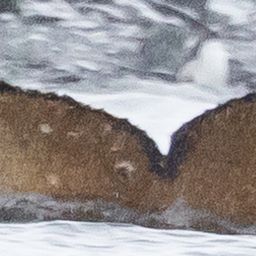 Fluke of HW-MN1307718