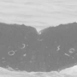 Fluke of CRC-15023