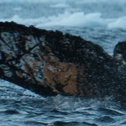 Fluke of HW-MN1307760