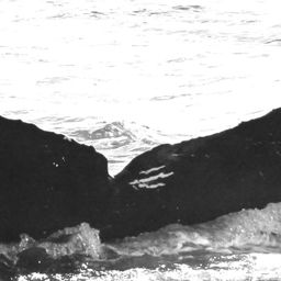Fluke of CRC-10524