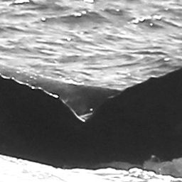 Fluke of CRC-15912