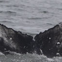 Fluke of CRC-23140