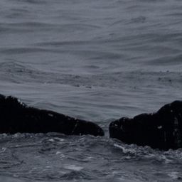 Fluke of CRC-23407