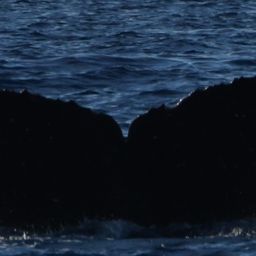 Fluke of HW-MN0445507