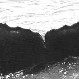 Fluke of CRC-15786