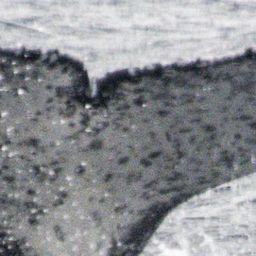 Fluke of HW-MN0805113