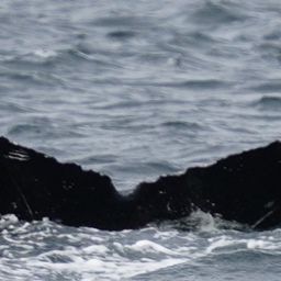 Fluke of HW-MN0420535