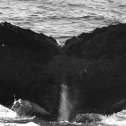 Fluke of CRC-15807