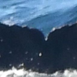 Fluke of HW-MN0805336