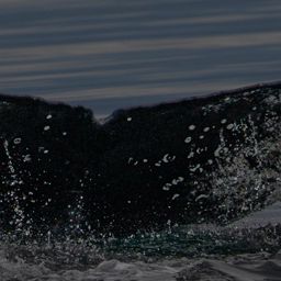 Fluke of CRC-23116