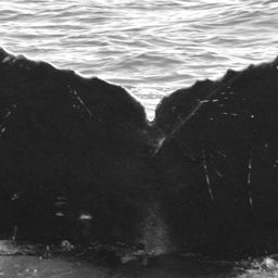Fluke of CRC-15885