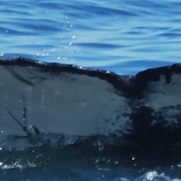 Fluke of HW-MN0104493