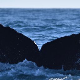 Fluke of CRC-10020