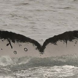Fluke of HW-MN1300901