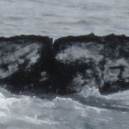 Fluke of HW-MN1300906
