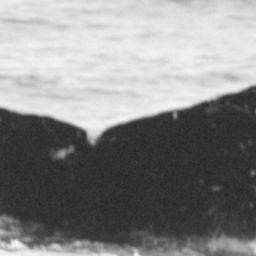 Fluke of CRC-14051