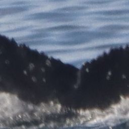 Fluke of HW-MN0805367