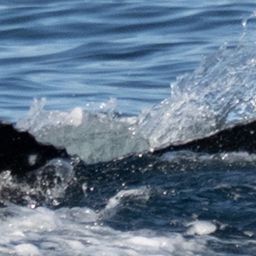 Fluke of HW-MN0410664
